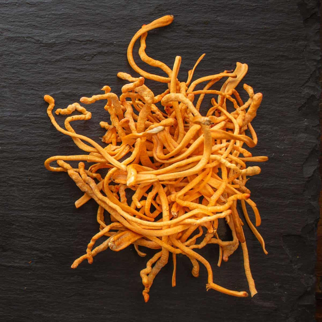Cordyceps Mushroom: Natural Energy and Endurance for Your Daily Ritual